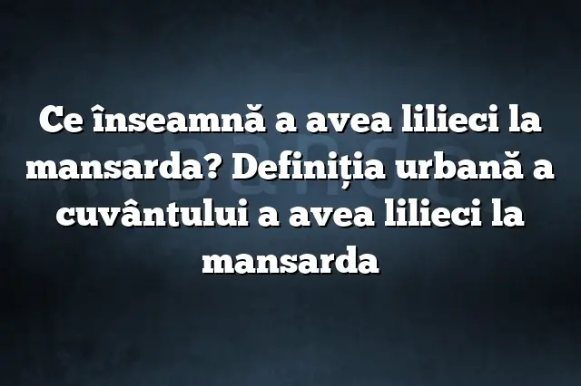 Ce înseamnă a avea lilieci la mansarda? Definiția urbană a cuvântului a avea lilieci la mansarda