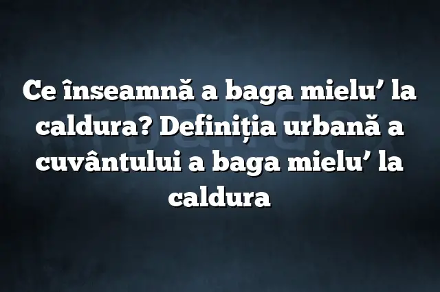 Ce înseamnă a baga mielu’ la caldura? Definiția urbană a cuvântului a baga mielu’ la caldura