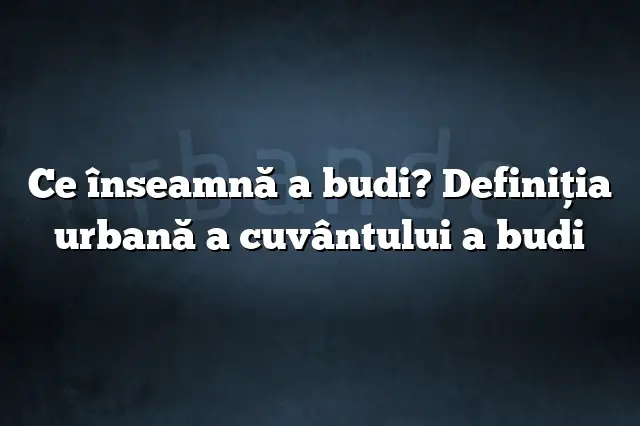 Ce înseamnă a budi? Definiția urbană a cuvântului a budi