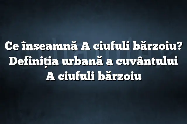 Ce înseamnă A ciufuli bărzoiu? Definiția urbană a cuvântului A ciufuli bărzoiu