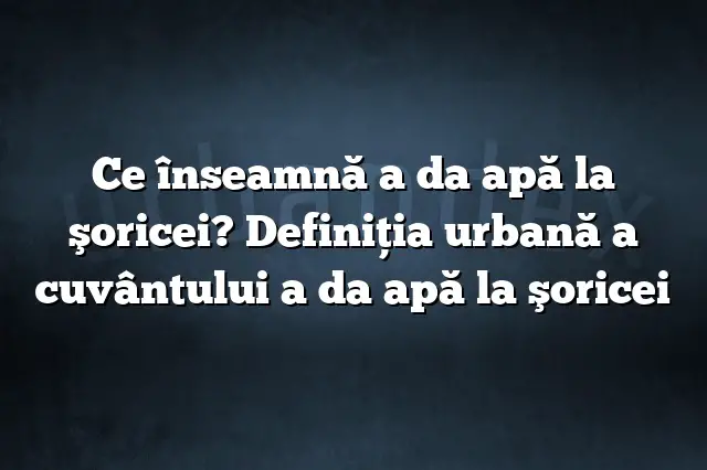 Ce înseamnă a da apă la şoricei? Definiția urbană a cuvântului a da apă la şoricei