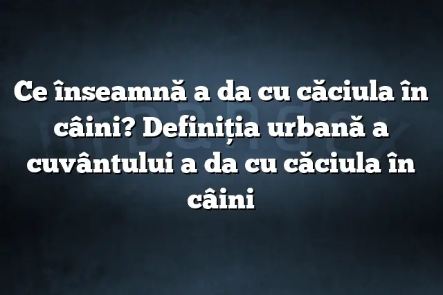 Ce înseamnă a da cu căciula în câini? Definiția urbană a cuvântului a da cu căciula în câini