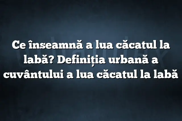 Ce înseamnă a lua căcatul la labă? Definiția urbană a cuvântului a lua căcatul la labă