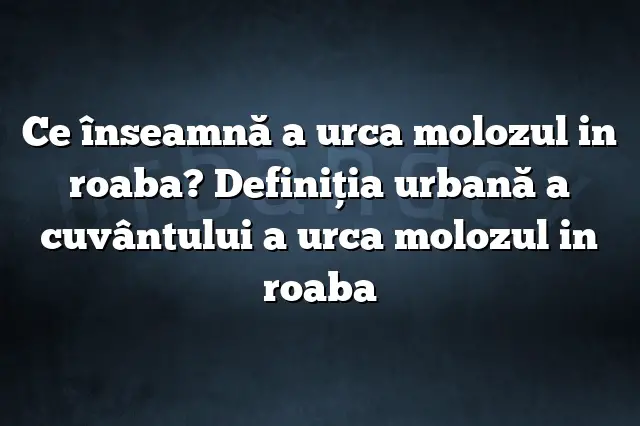 Ce înseamnă a urca molozul in roaba? Definiția urbană a cuvântului a urca molozul in roaba