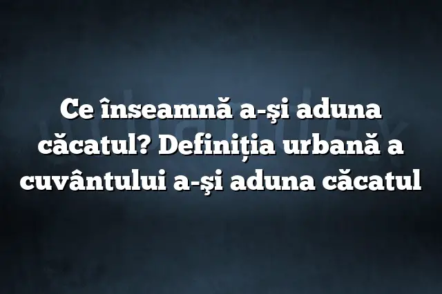 Ce înseamnă a-şi aduna căcatul? Definiția urbană a cuvântului a-şi aduna căcatul