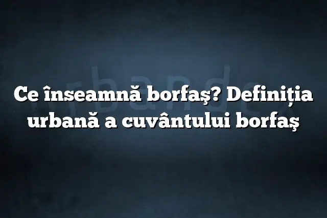 Ce înseamnă borfaş? Definiția urbană a cuvântului borfaş