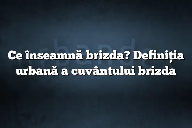 Ce înseamnă brizda? Definiția urbană a cuvântului brizda