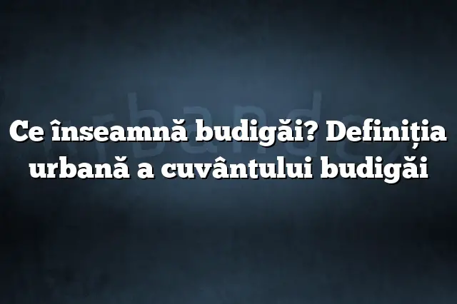 Ce înseamnă budigăi? Definiția urbană a cuvântului budigăi