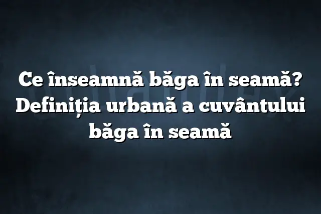 Ce înseamnă băga în seamă? Definiția urbană a cuvântului băga în seamă