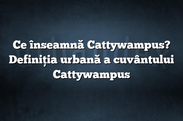 Ce înseamnă Cattywampus? Definiția urbană a cuvântului Cattywampus
