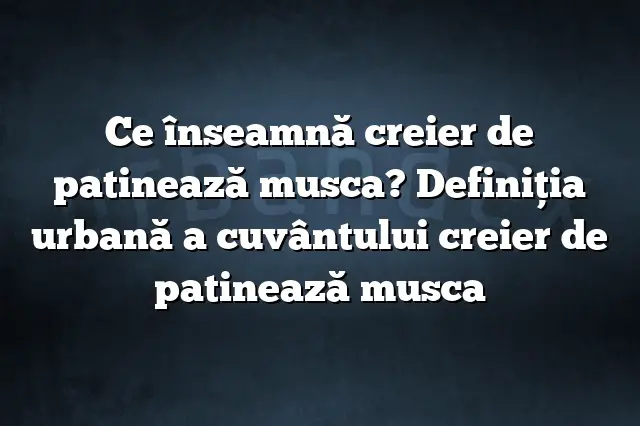 Ce înseamnă creier de patinează musca? Definiția urbană a cuvântului creier de patinează musca