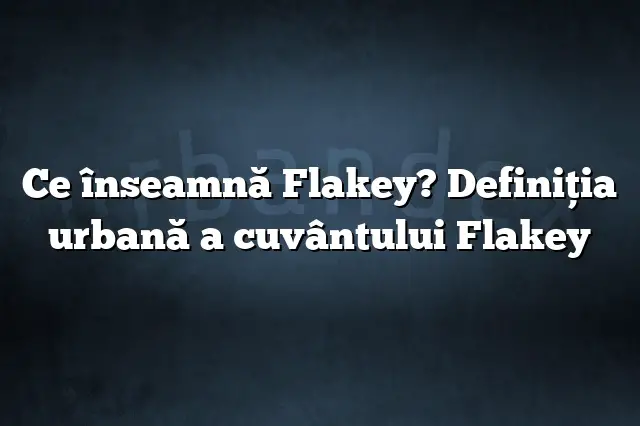 Ce înseamnă Flakey? Definiția urbană a cuvântului Flakey