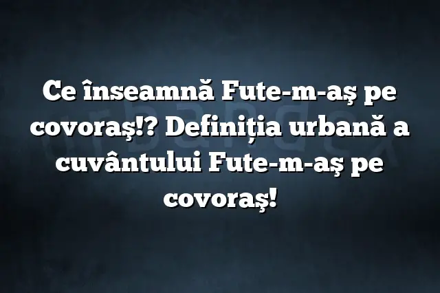 Ce înseamnă Fute-m-aş pe covoraş!? Definiția urbană a cuvântului Fute-m-aş pe covoraş!