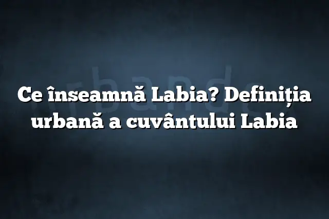 Ce înseamnă Labia? Definiția urbană a cuvântului Labia