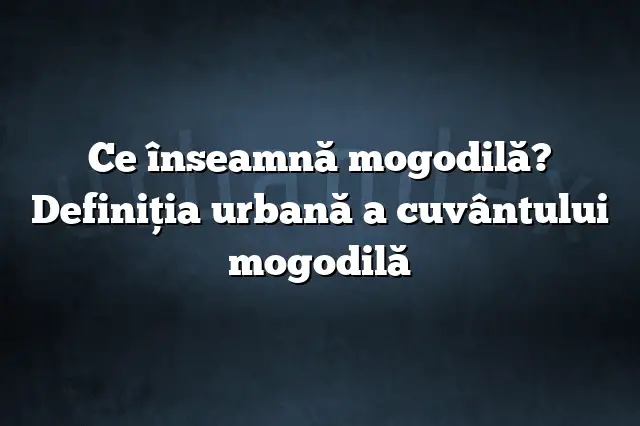 Ce înseamnă mogodilă? Definiția urbană a cuvântului mogodilă