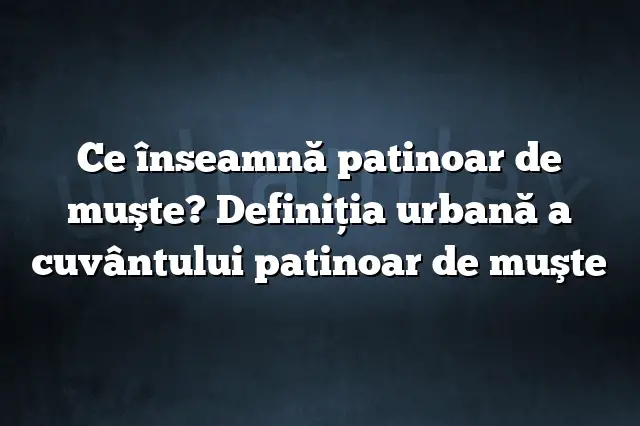 Ce înseamnă patinoar de muşte? Definiția urbană a cuvântului patinoar de muşte