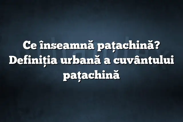 Ce înseamnă paţachină? Definiția urbană a cuvântului paţachină