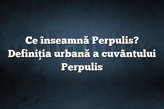 Ce înseamnă Perpulis? Definiția urbană a cuvântului Perpulis