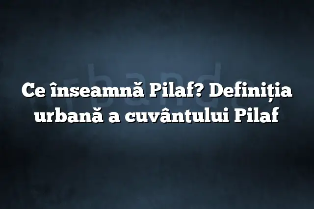 Ce înseamnă Pilaf? Definiția urbană a cuvântului Pilaf