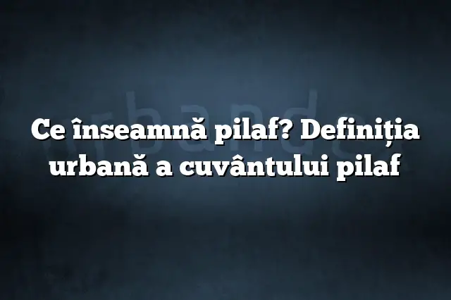 Ce înseamnă pilaf? Definiția urbană a cuvântului pilaf