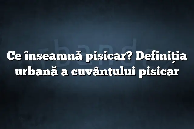 Ce înseamnă pisicar? Definiția urbană a cuvântului pisicar