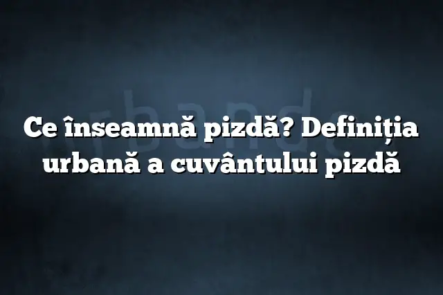 Ce înseamnă pizdă? Definiția urbană a cuvântului pizdă