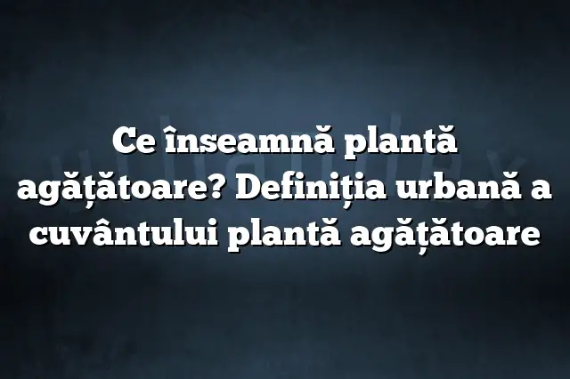 Ce înseamnă plantă agăţătoare? Definiția urbană a cuvântului plantă agăţătoare