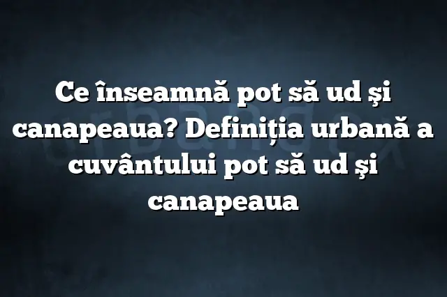 Ce înseamnă pot să ud şi canapeaua? Definiția urbană a cuvântului pot să ud şi canapeaua