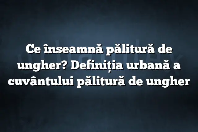 Ce înseamnă pălitură de ungher? Definiția urbană a cuvântului pălitură de ungher