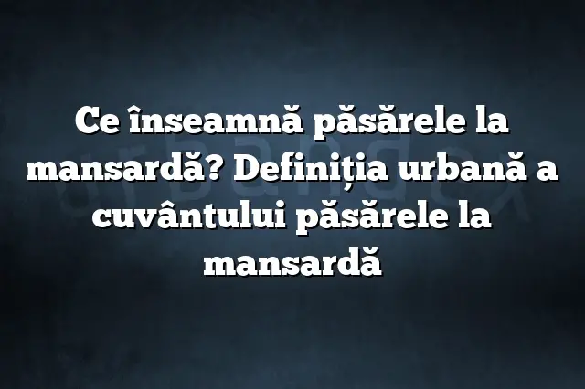 Ce înseamnă păsărele la mansardă? Definiția urbană a cuvântului păsărele la mansardă