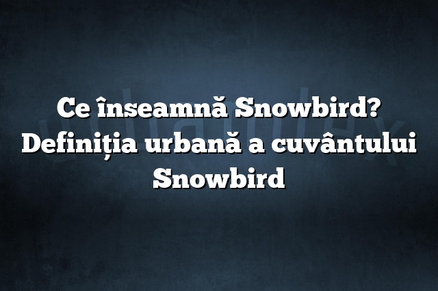 Ce înseamnă Snowbird? Definiția urbană a cuvântului Snowbird