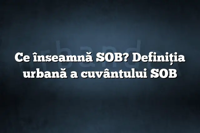 Ce înseamnă SOB? Definiția urbană a cuvântului SOB