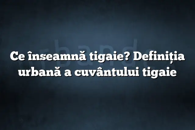 Ce înseamnă tigaie? Definiția urbană a cuvântului tigaie