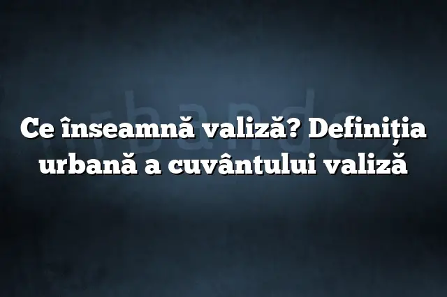 Ce înseamnă valiză? Definiția urbană a cuvântului valiză