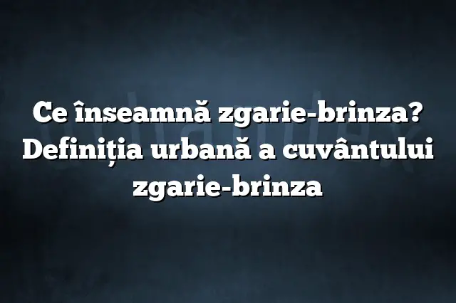 Ce înseamnă zgarie-brinza? Definiția urbană a cuvântului zgarie-brinza