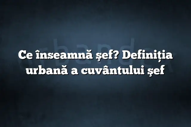 Ce înseamnă şef? Definiția urbană a cuvântului şef