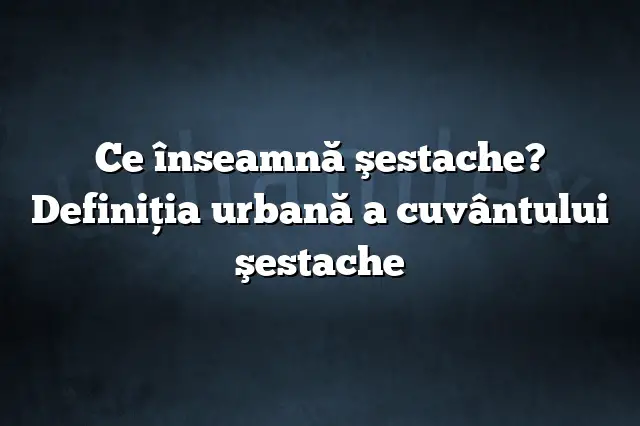 Ce înseamnă şestache? Definiția urbană a cuvântului şestache